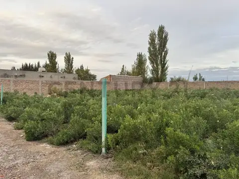 Oficina en Venta 2025 años