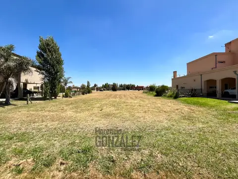 Terreno en Venta 40  mts Fondo