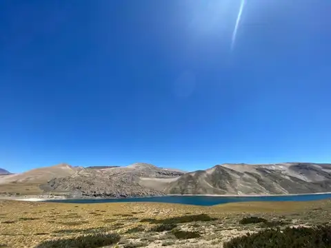 Campo en venta - 5.545.000Mts2 - Mendoza