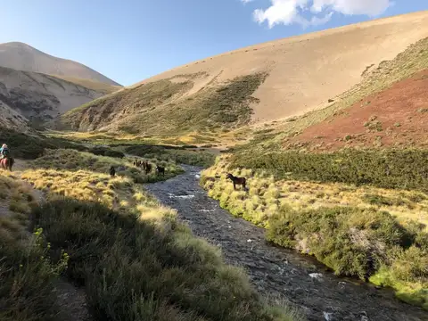 Campo en venta - 5.545.000Mts2 - Mendoza