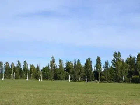 Terreno en Venta de 780,0 m2