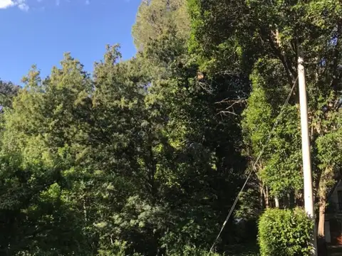 Tacuarita 100, Piso 0