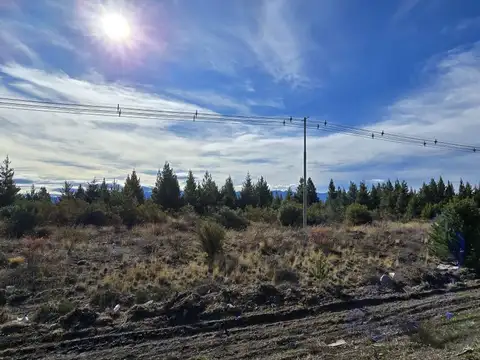 Terreno en Alquiler de 5007,0 m2