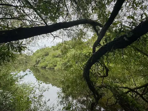 VENTA CHACRA 6 HS PANORAMICA SOBRE RUTA 60 PAN DE AZUCAR ARROYO MONTE NATIVO