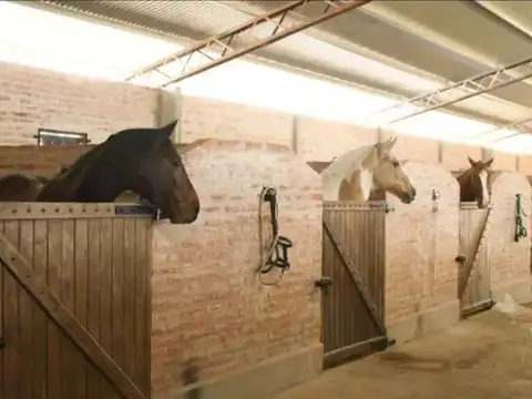 Terreno en Venta en San Sebastian, USD 25.000