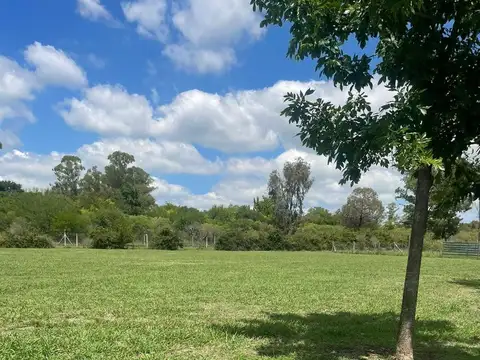 Terreno en Venta de 985,0 m2