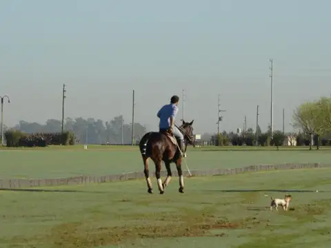 dos Hectarias en Chacras de la Trinidad, OFERTA