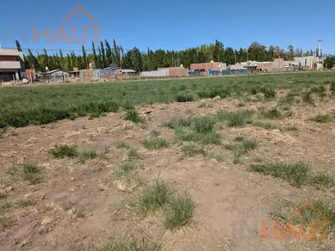 Terreno en Venta 12  mts Frente