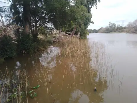 Terreno en Venta de 39400,0 m2