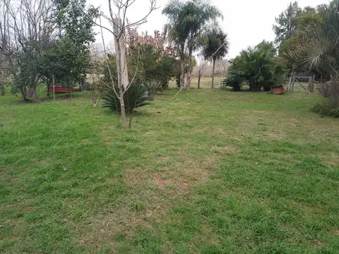 Rio o Arroyo Carabelas Tío José 100