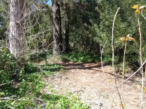 Jose Marmol y Avda.  Amalia 100