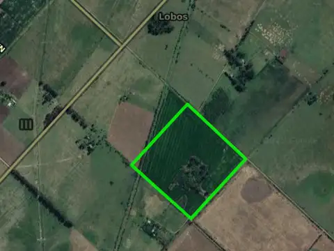 Campo en venta - 260.328Mts2 - Lobos