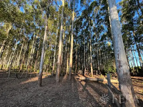 Venta de Campo en Santa Rosa - Concepcion, Corrientes