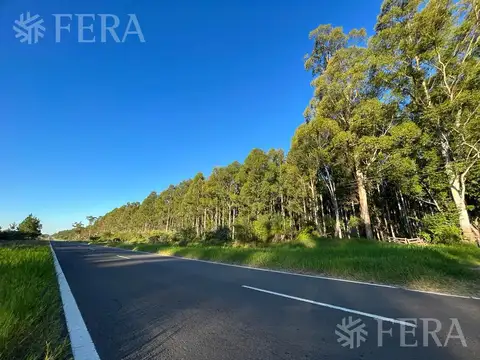 RUTA NACIONAL 118 KM 79  - CAMPO BATARÁ CORRIENTES