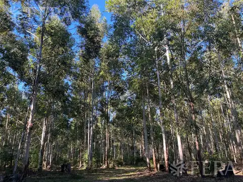 Venta de Campo en Santa Rosa - Concepcion, Corrientes