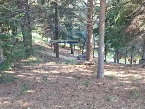 Fabulosa Fracción De 2,34 Has En Barrio Ruca Hue, San Martín De Los Andes Patagonia Argentina