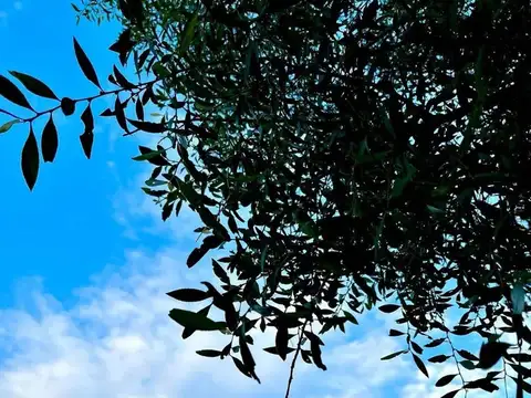 Terreno en venta - 346,53Mts2 - El Bolsón