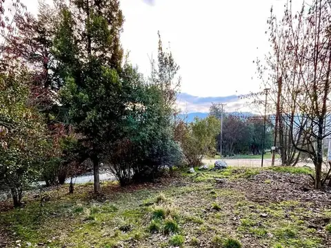 Chubut e/ Río Negro y Neuquén