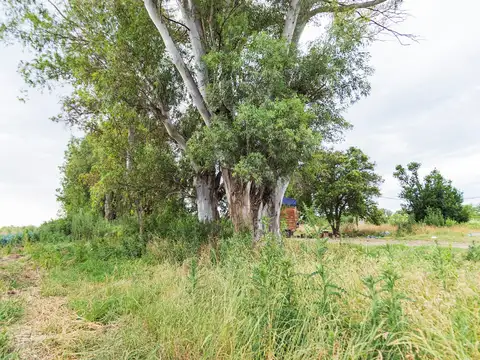 Campo en Venta de 7  ha