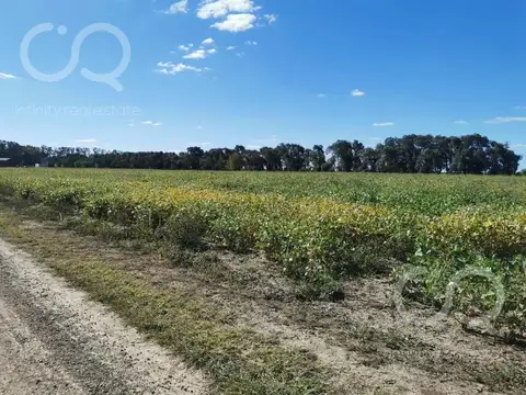 Bernardino Rivadavia km 14,5, B6705 Villa Ruiz , Carlos Keen, Luján, GBA Oeste