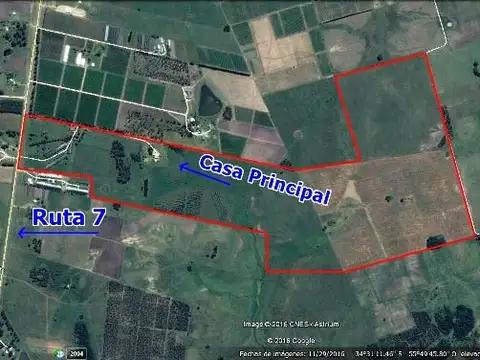 XINTEL(OTG-OTG-533) Campo - Venta - Uruguay, CANELONES