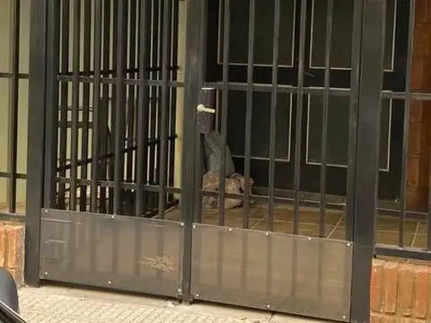 Depósito  en Alquiler en Recoleta, Capital Federal, Buenos Aires