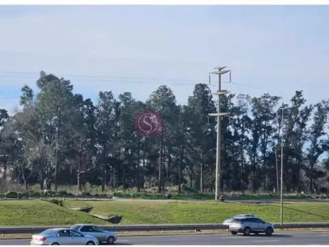 Terreno en Venta de 7000,0 m2