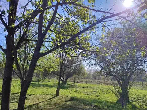 30 Lotes en venta en Cuartel V