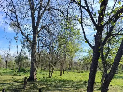 Valentin Gomez, Jacinto verdaguer  al 1700