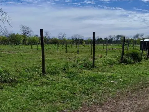 30 Lotes en venta en Cuartel V