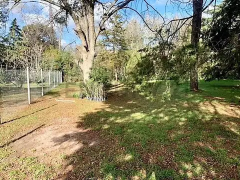 15 y 421 bis 100, Piso 0