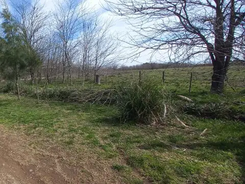 Terreno de 1 Hectarea a la venta en Cañuelas - oportunidad