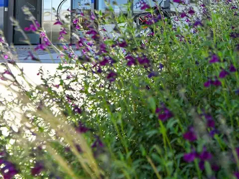 Venta de oficinas premium a estrenar Venado Tuerto