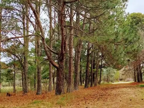 Terreno en Venta de 1860,0 m2