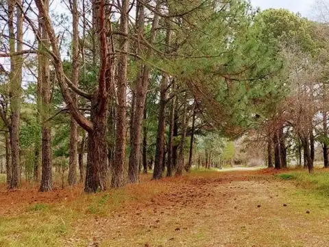 Terreno en Venta de 1860,0 m2