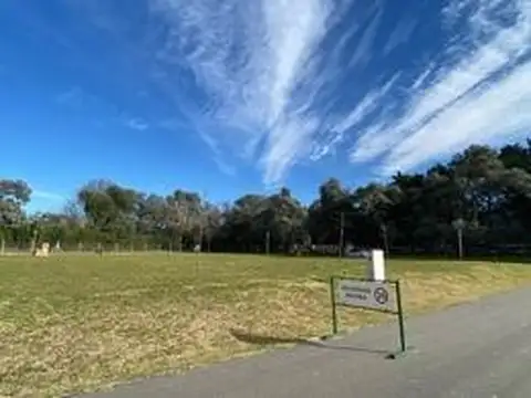 El Aljibe Manzanares L50ML