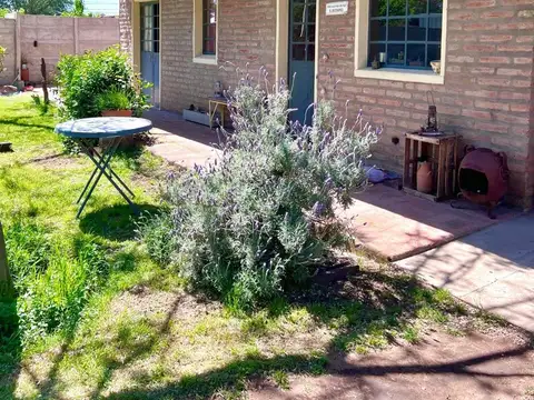 Maestros Puntanos 3000