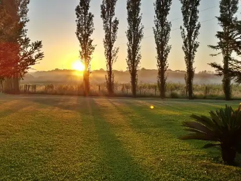 Terreno Campo  en Venta en Concepción del Uruguay, Entre Ríos, Argentina