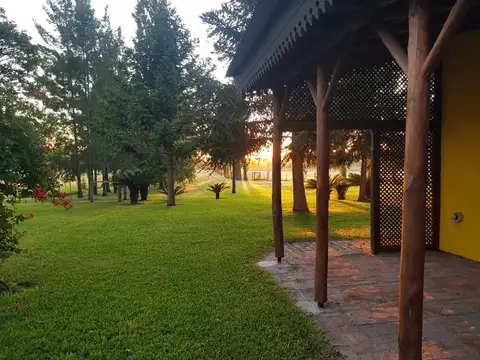 Ruta Provincial 42 100