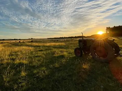 Terreno Campo  en Venta en Concepción del Uruguay, Entre Ríos, Argentina