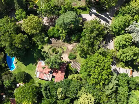 Perito Moreno al 2100