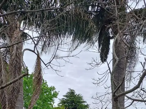 Terreno en Venta en Barrio Aleman, USD 420.000