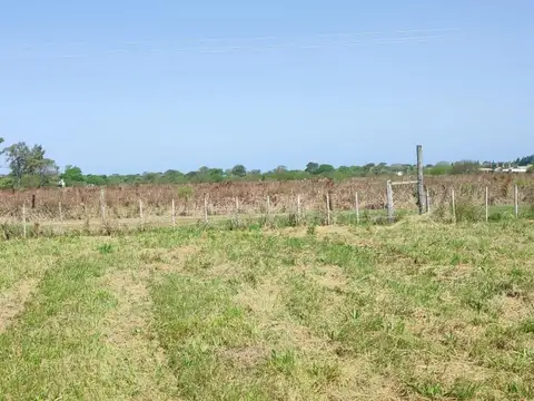 Terreno en Venta en Colonia Benitez, USD 15.000