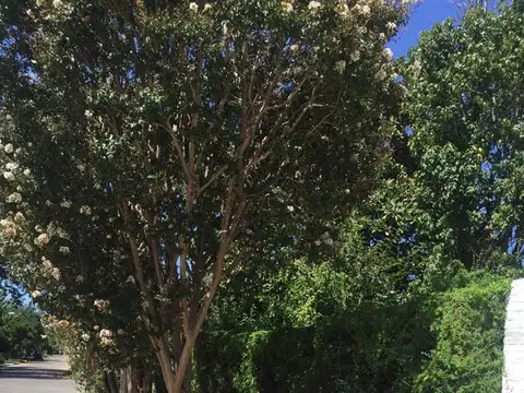 383 Bis Esquina Juan