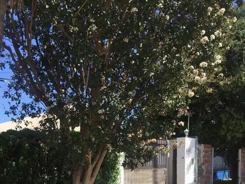 Terreno en Venta 24,50  mts Frente