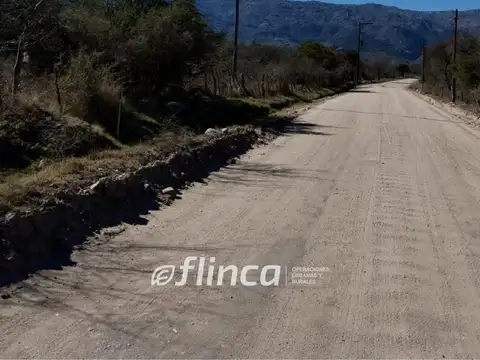 2,3 has - NONO, Traslasierra