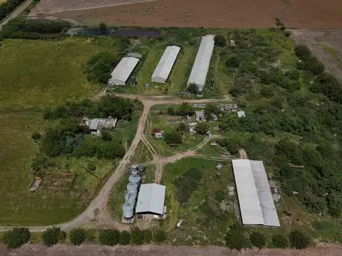 VENTA CRIADERO DE CERDO INTENSIVO. ACEPTA PERMUTA