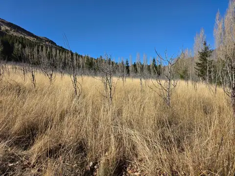 Terreno en Venta en Esquel, USD 25.000