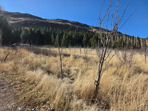 Ruta Nacional Nº 259 - KM 3,6