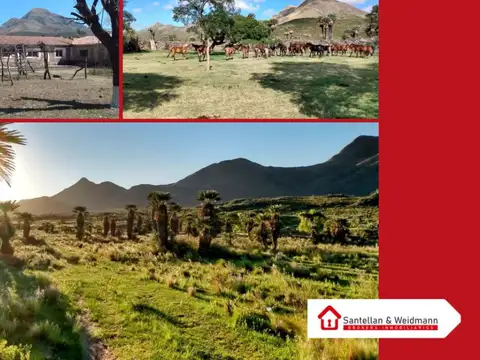 Campo ubicado en Los Volcanes de Pocho – Departamento de Pocho